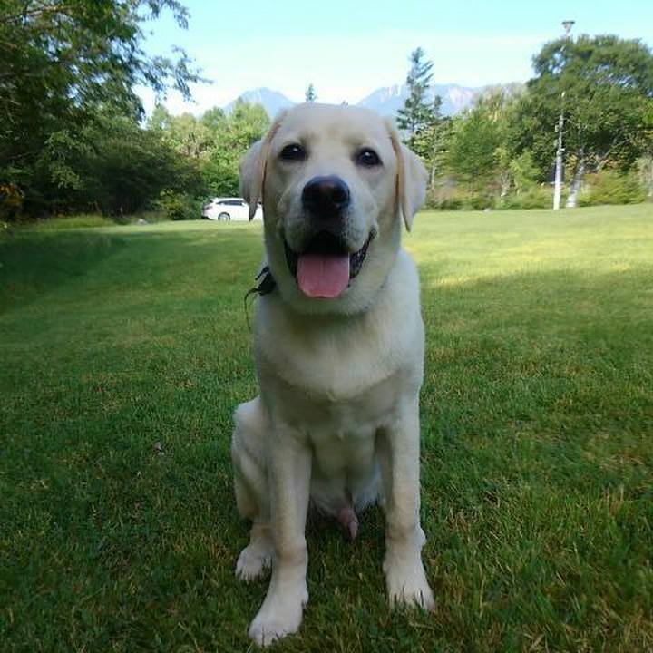 693e9841 f0ac 42b2 8fd2 f62deffb7274