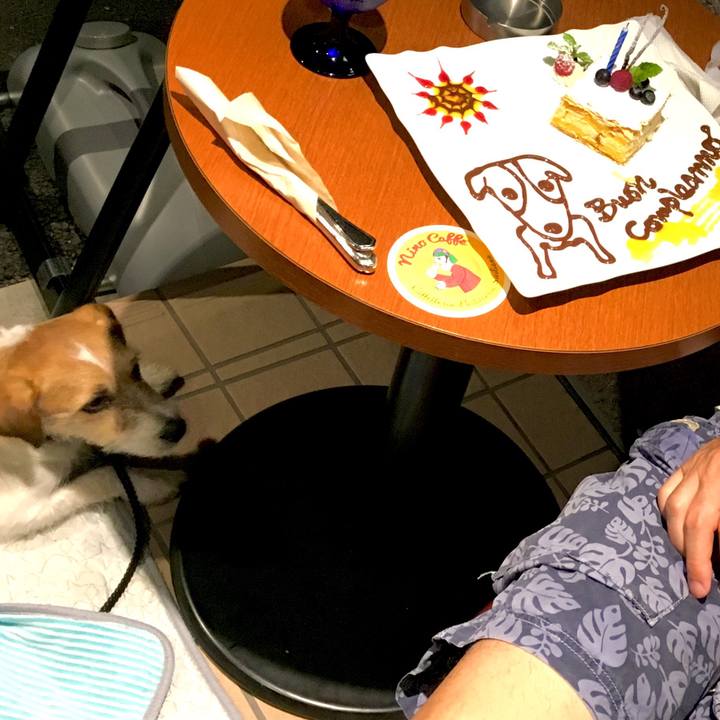 693f260a 9274 437c 88e9 16e0fb2d6399