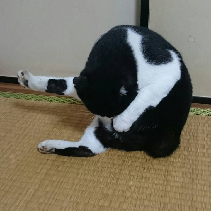 693f3e5c 338d 4812 9bc7 dd127d0acedb