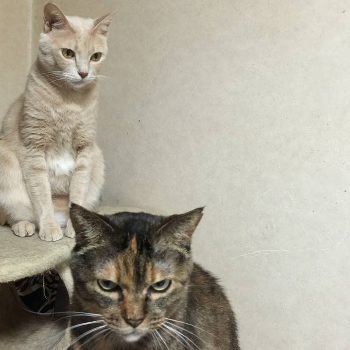 693fc093 abc0 4999 9338 ed9524b037c7