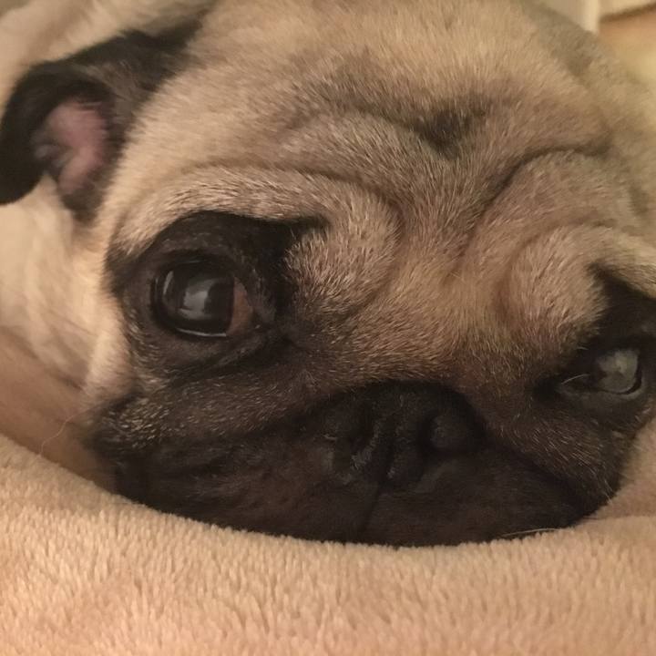 693fc1f5 53a7 4658 bff5 68c161e61ca7