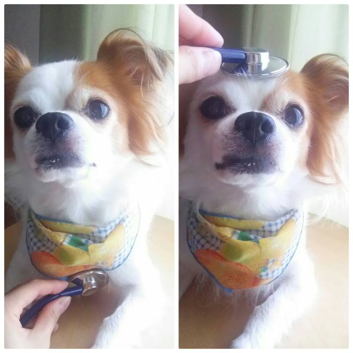 693fcc89 b875 48e7 9687 d4324d4994fb