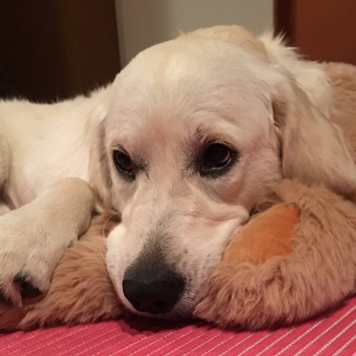 694013c2 53d3 4737 8706 5831a0052812