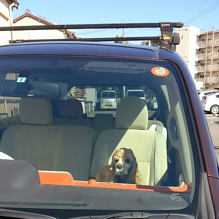 694061c7 69dd 4276 85da 8947f5903408