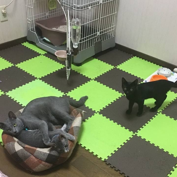 6940f4d0 dc4f 4f75 a114 390c74cce043