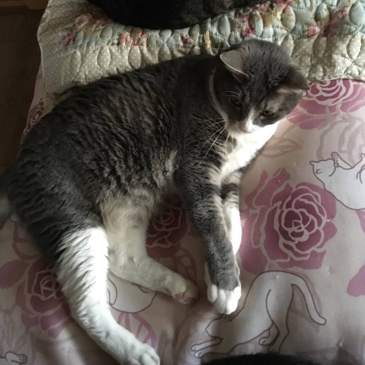 69414a52 3c9f 48f8 aaf6 173c633c431a