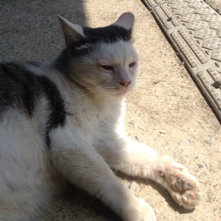 694171da 0c40 4420 b773 1f32e1c5b343