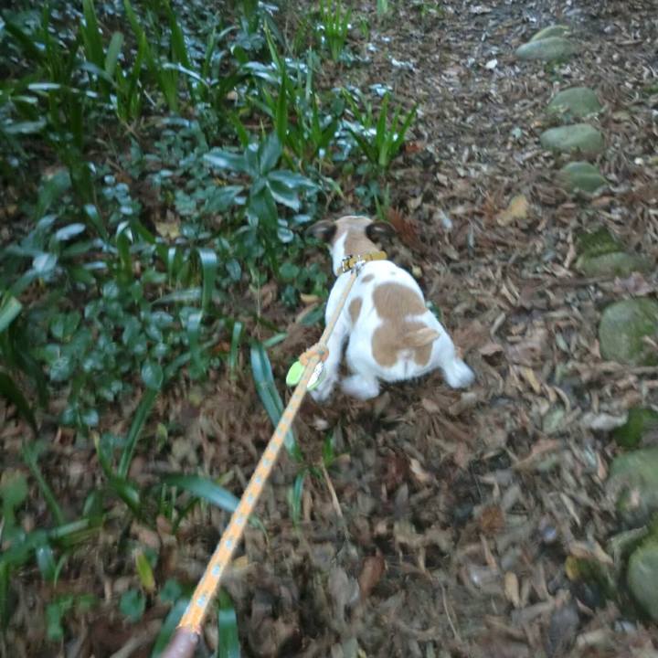 69418a13 65e8 4bc9 aad1 2050ab86fc9f