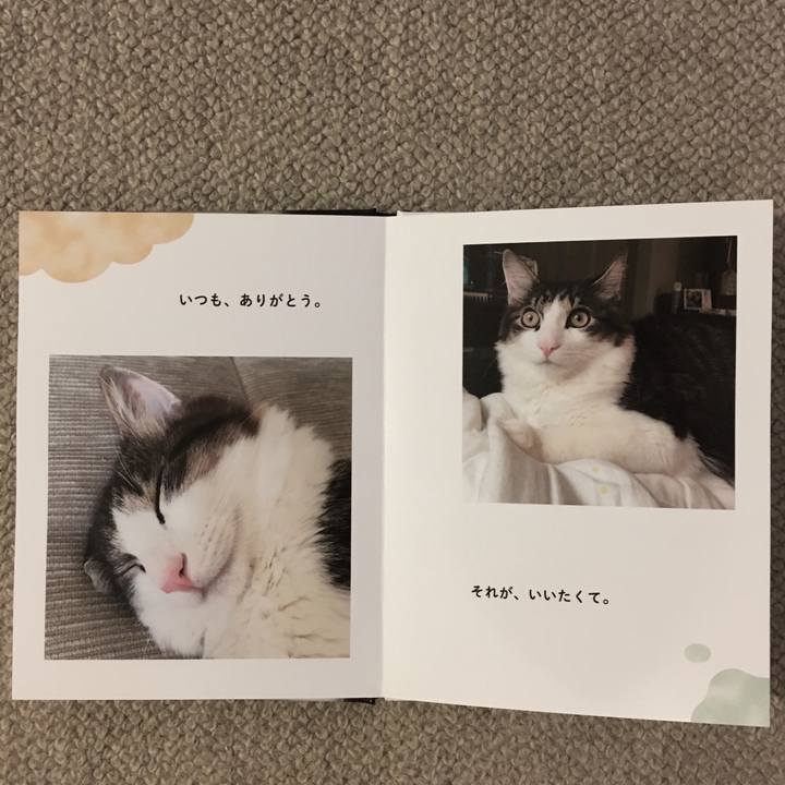 69425518 e104 4db4 b957 deef09aeb217