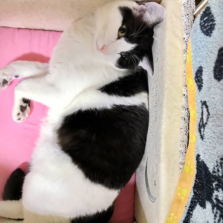 69429631 c284 4029 b0e6 221e55b77683