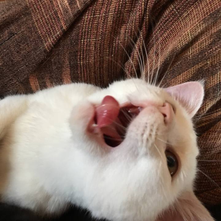 6942febd c4b1 401a 8b80 5ef89b75ef50