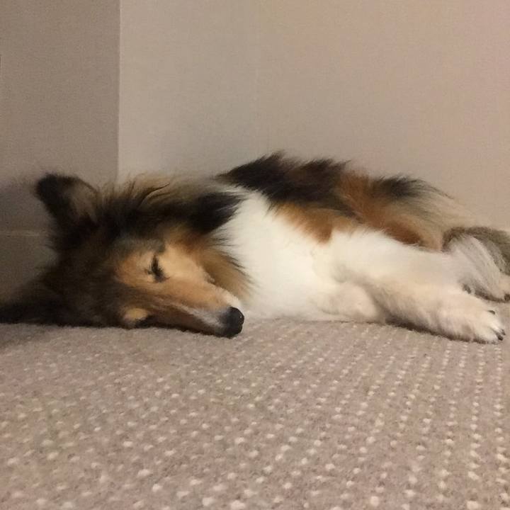 694300b6 331a 4eae 80f1 f2ac588efd25