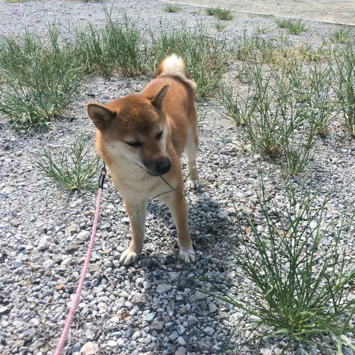 69432468 91aa 489a bda5 d11d10f13249