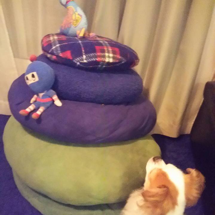 69439c85 cfb3 4c24 9101 97b145a06d62