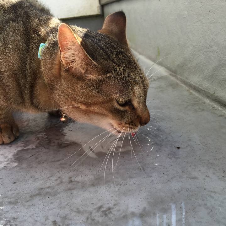 69443ac7 cbd5 4719 9931 ebeca072698a