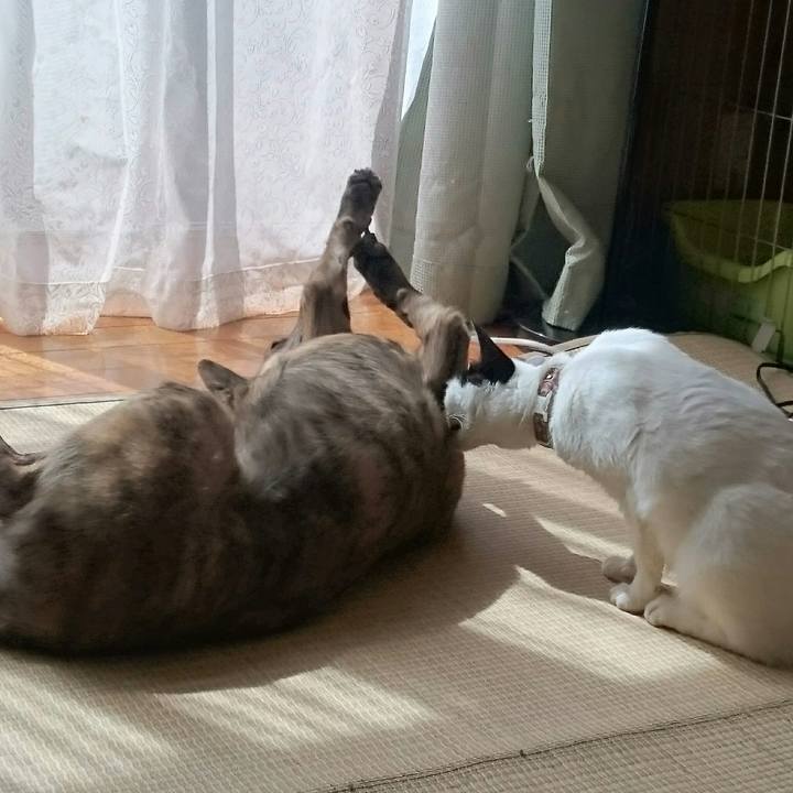 6944457d bb91 4194 ba99 a02c1feecf30