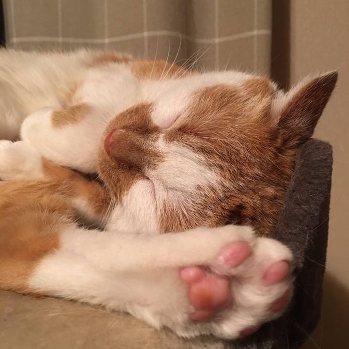 6944fc58 99ad 472b 928a 6996c36bb677