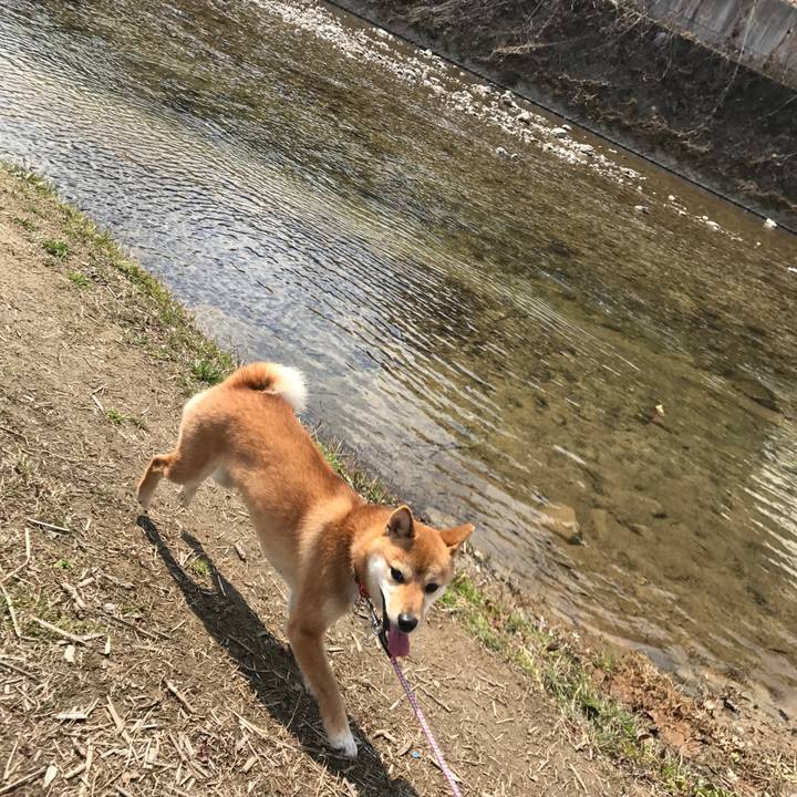 6945632f 700d 408e a43b a227f2c4bce8