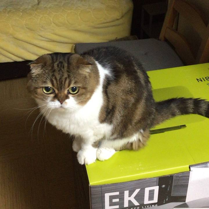 69456ae6 1b30 412d 83b0 a68b30022390