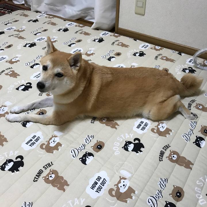 6945ef93 b2b7 47de b667 87bc5799155d