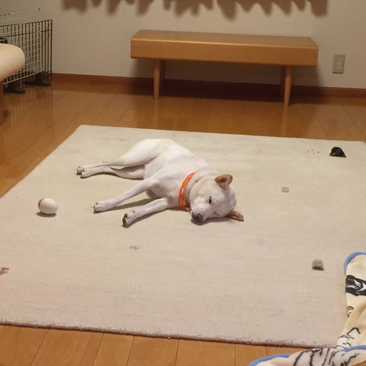 69466bbe ea48 4741 9a5c 5cbfcc8f3471