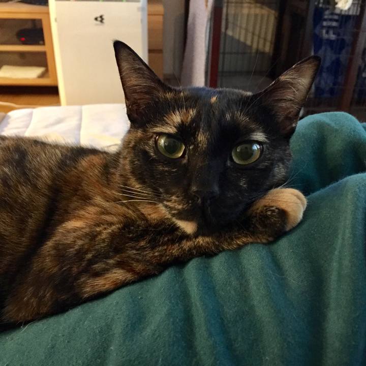 6946ce12 b36a 4c5e a319 8bb8cf024605