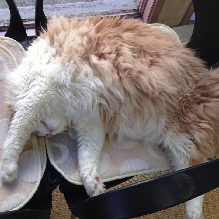 6948f4b7 a5ab 4bf4 9ff2 fb94ea4944f7