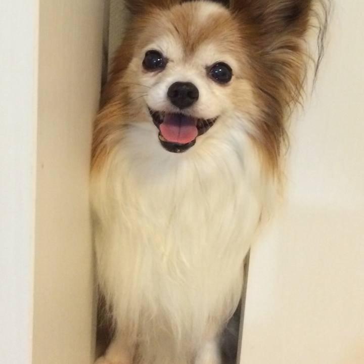 6949376e a829 4916 9c2c 3ac9bda50b84