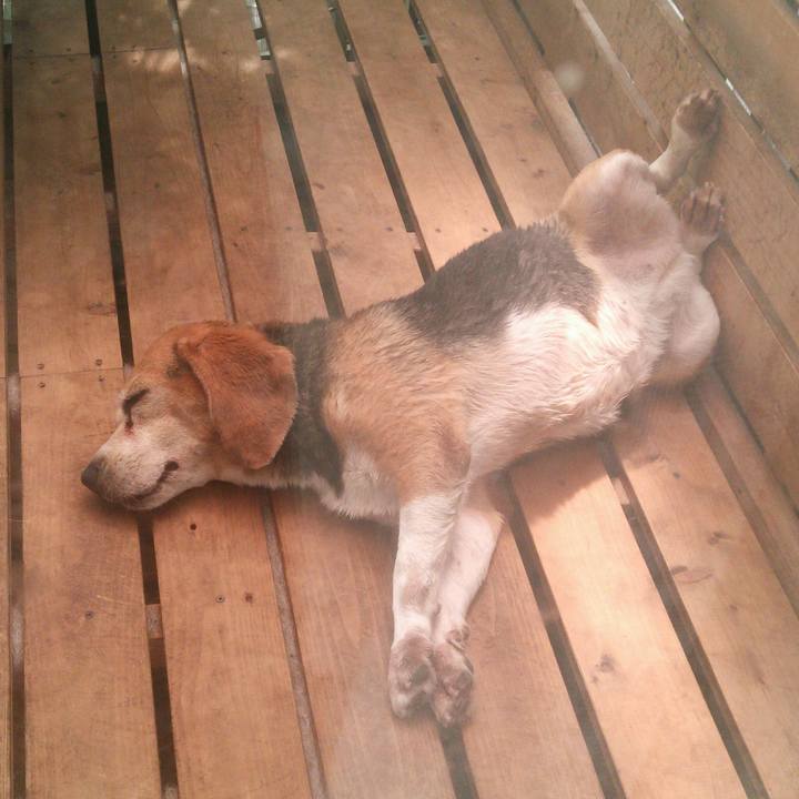 69494b12 9efd 4ed2 acba 7e29a2cb1cb7