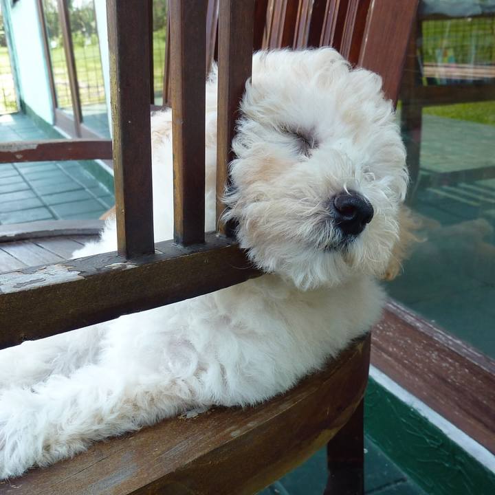 69495263 e172 4f27 9c73 6001769c21c6