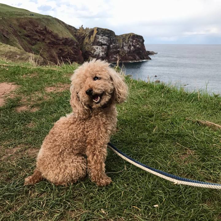 694a2289 04a2 4ff0 a407 1614a9ea10f8