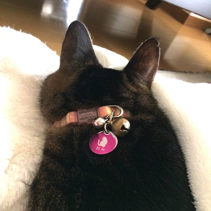 694a3678 2d74 45ef b178 61a7670f5d3c