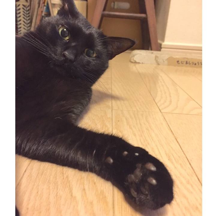 694a42a0 c28e 4f10 b2f5 7136273f3d21