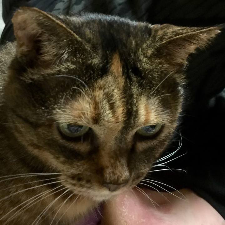 694b7fe2 b375 424e 862b eb634eb4786a