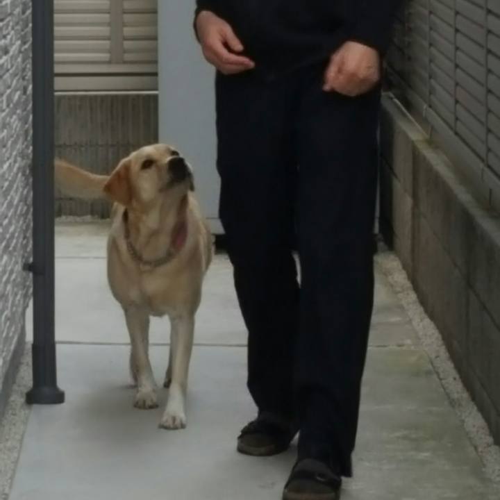 694bbbcd ebfc 4ab7 9da0 ff0c3b2d4e86