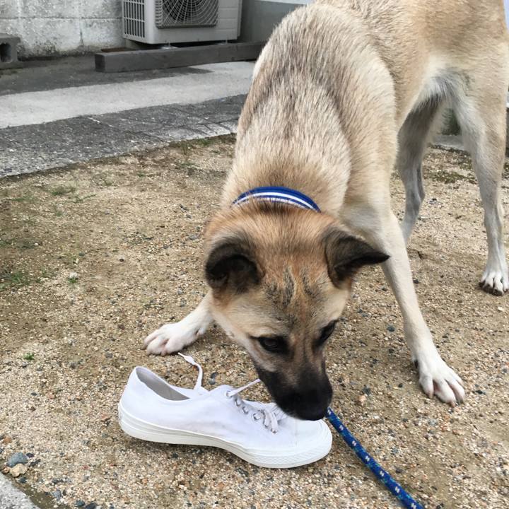 694c89b6 d7cf 499b 8a82 36cada27ecb9