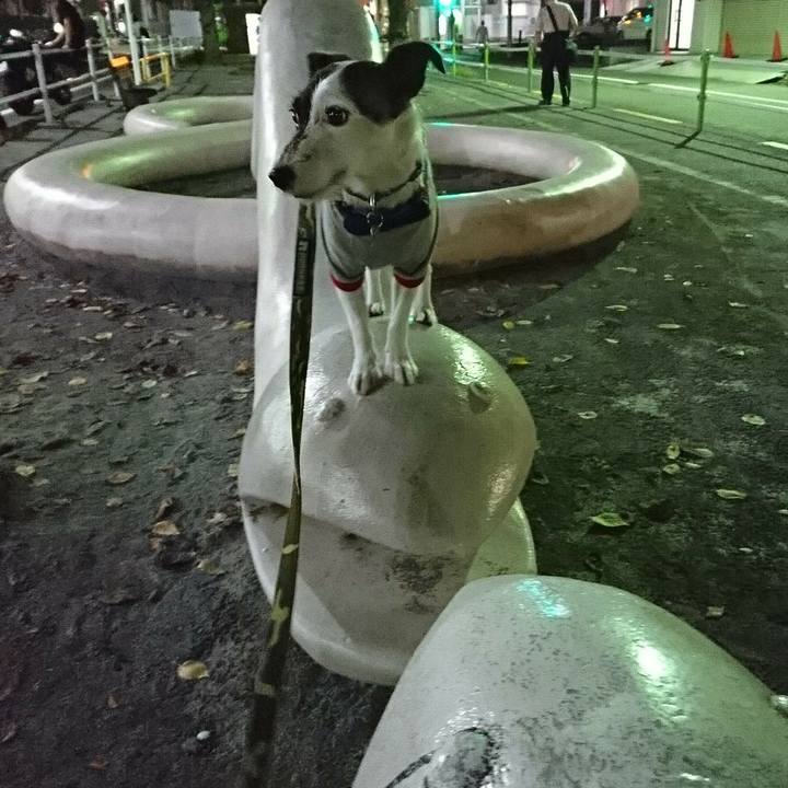 694cf538 c7c0 40c3 8489 585e16c36552