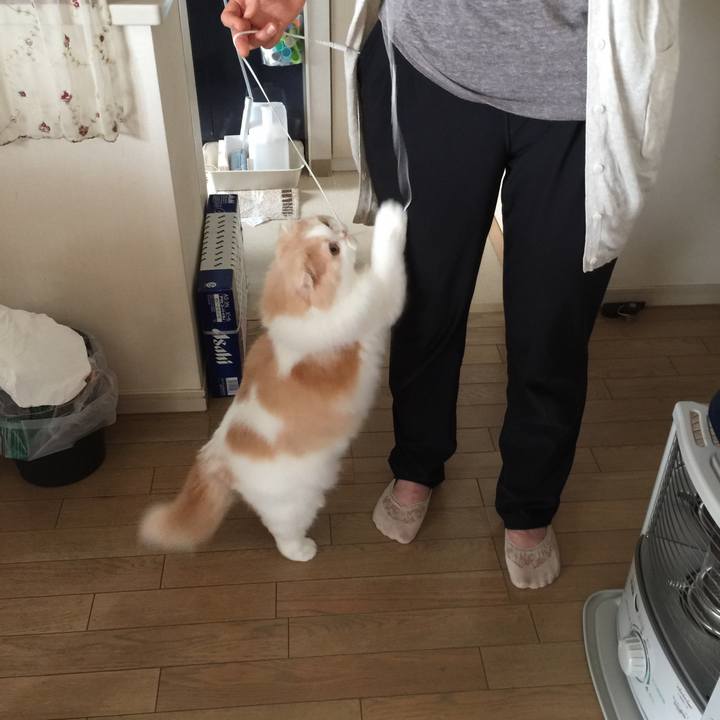 694d47df 028a 46a1 8037 ef28e33acc2d