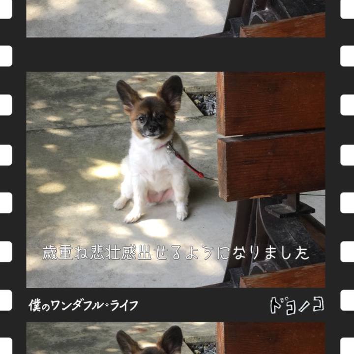 694d5f06 4fb6 4b43 80be 75c0a8fdc3cd