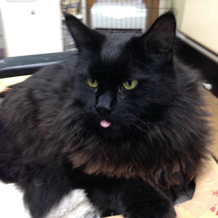 694e05c2 3236 4123 983d 97a5630d067b