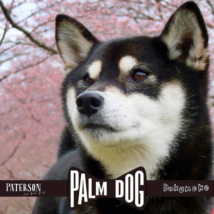 694e437c 6d32 4ccd 857a 459772fdcbf2