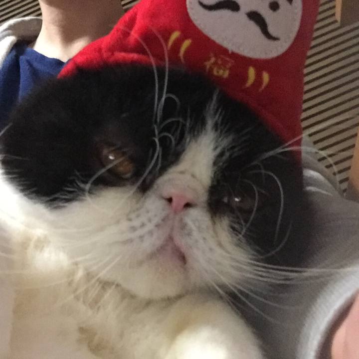 694e5b9b f56e 48d7 9039 28d90b0821a2