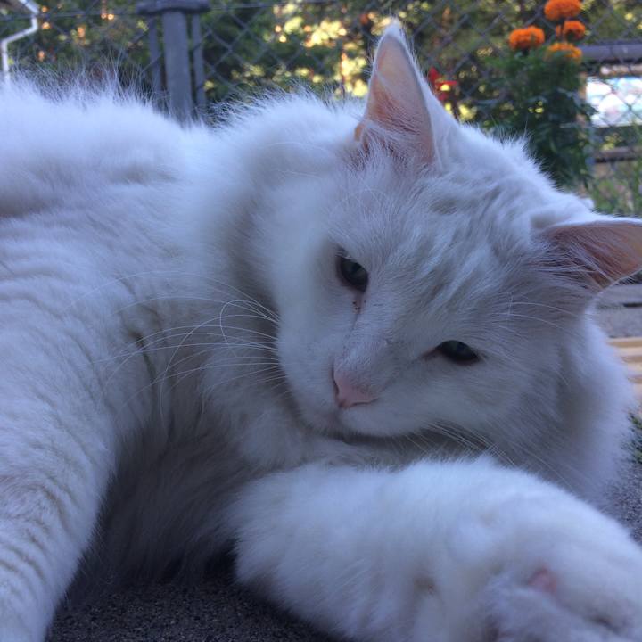 694e7f3e 2ee3 44aa bab5 414b802e9f11