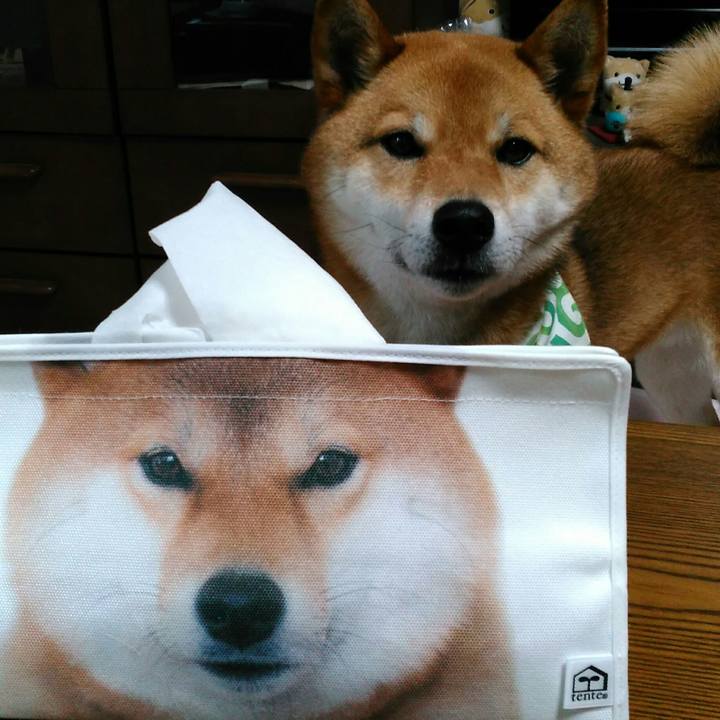 694f9957 7bfa 480a 8052 0c2bb2a5410c