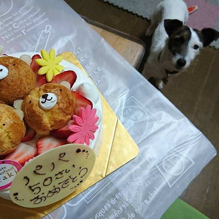 69501291 3a21 4ff6 8389 c370b044cda9