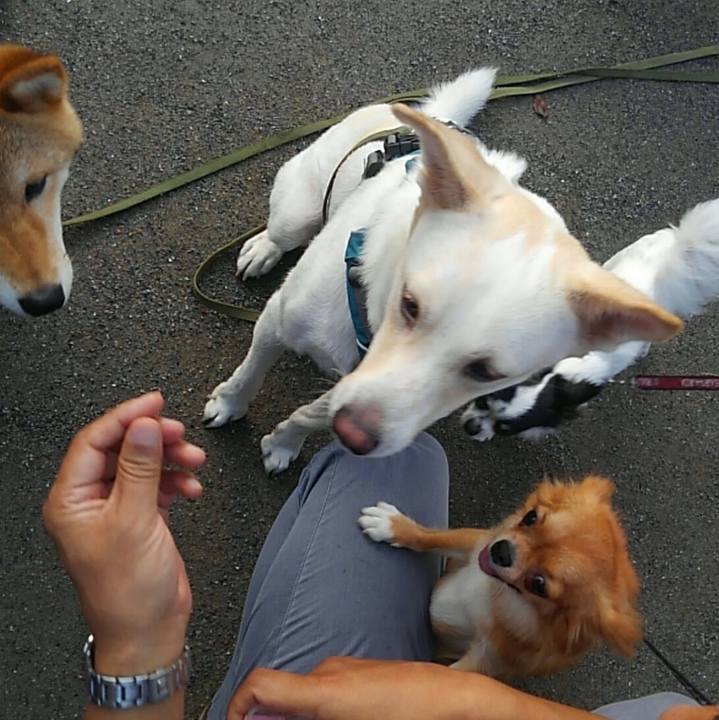 69503c5b 685b 42e5 b8b2 1ad25b2c63cc