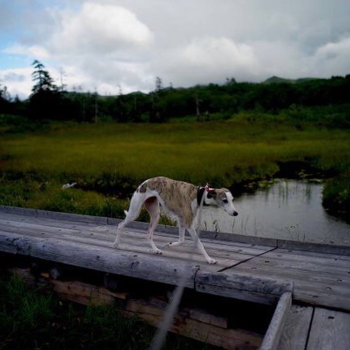 69508cc4 26dc 4d49 aed6 5b0f4864985e