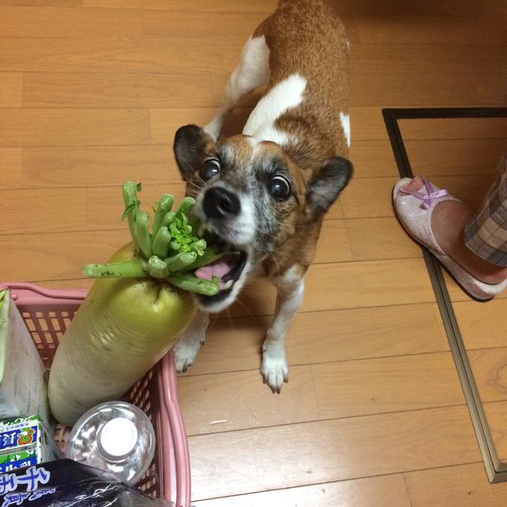 6952e573 1c17 460a abc9 542b772175b8