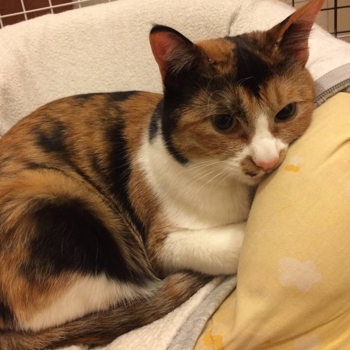 69530b2c 5287 4cbb 9649 f248a6bb5e4f