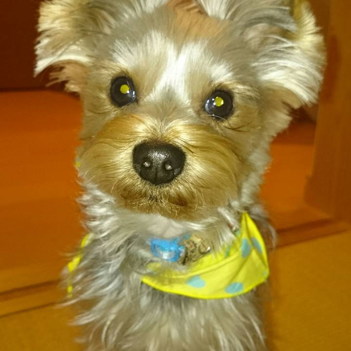 695398ff 2b41 4b33 ad61 82ed408d8b3f